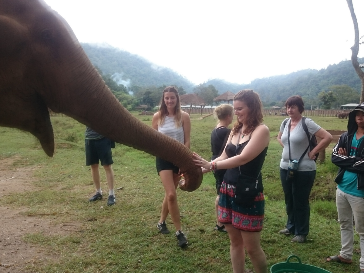 Young woman feeding elephant.