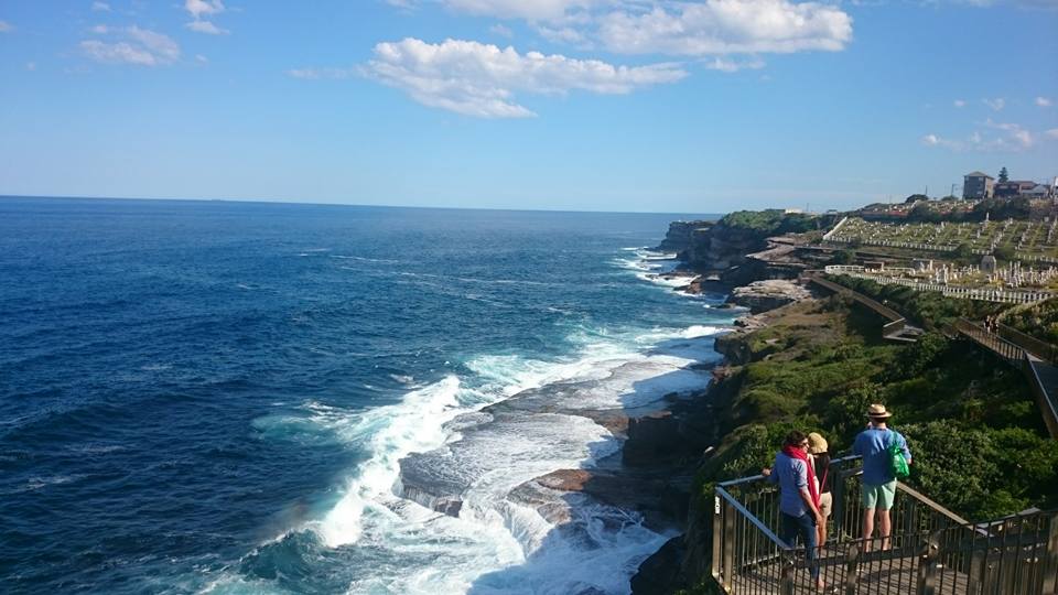 view-of-sea-and-bondi-coogee-coastal-walk-australia