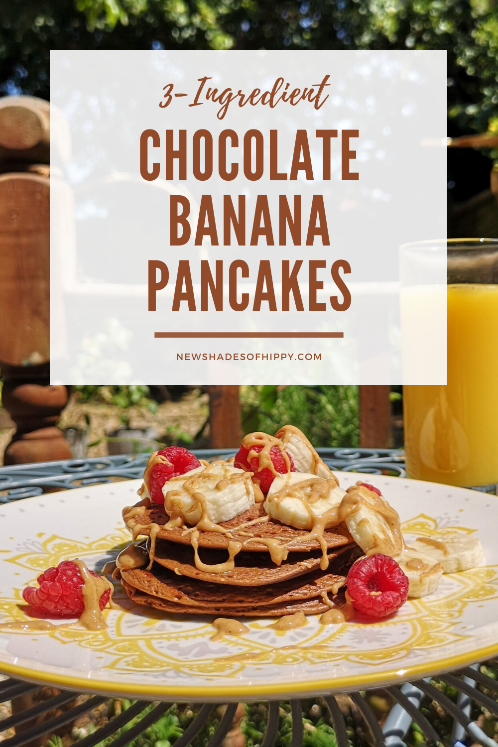 Pancakes on plate with raspberries and banana and text: 3 ingredient chocolate banana pancakes